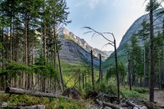 Avalanche Lake Trail