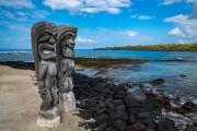 Hawaiian Guardians