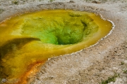 Yellowstone Thermal Pool