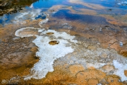 Yellowstone Thermal Pool