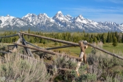 Wooden Fence